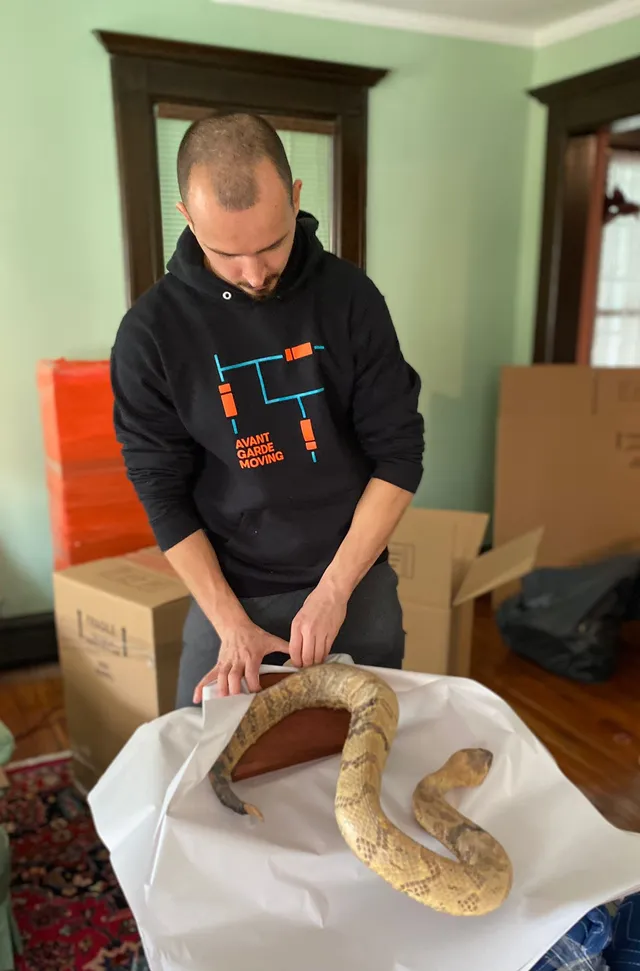 Advanced Protective Materials